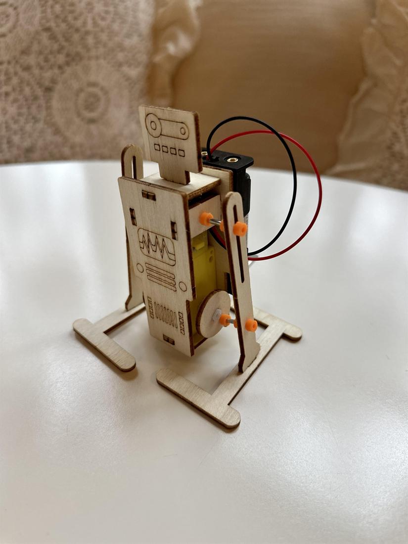 A robot built by a camper